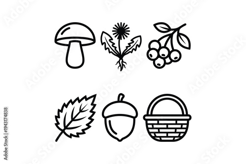 Forest foraging and autumn nature black line icon set - Wild mushrooms berries and acorn outline vector graphics