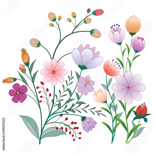 Graphic elements for vector design. Swirl vintage elements decorative ornamental design illustration. 