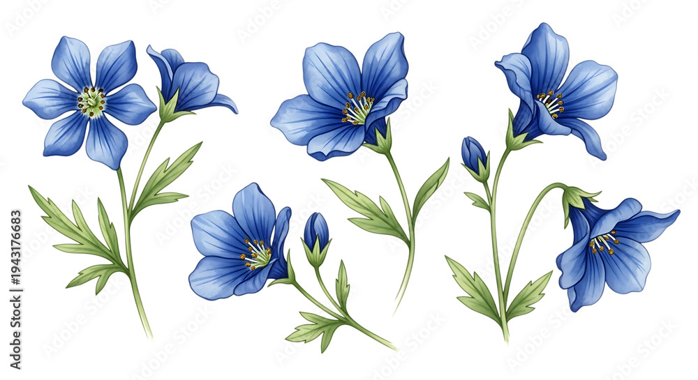 Fototapeta premium A delicate watercolor painting of blue flowers on a white background