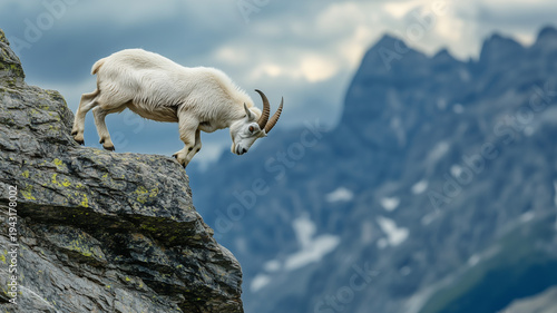 Mountain goat balancing on rocky cliff edge with majestic mountain landscape