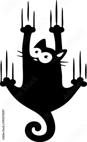 A cute black and white cat sitting and looking forward