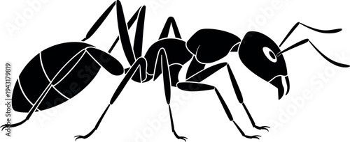 Black ant walking vector illustration, flat design graphic