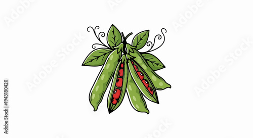 Hand-drawn illustration of ripe green pea pods with bright red peas inside