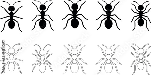 Set of ants in different poses vector illustration, flat design graphics