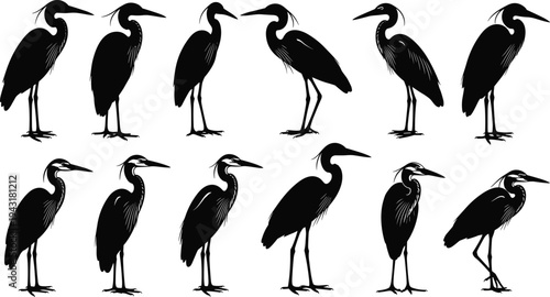 Heron bird silhouette collection with different standing poses, elegant wading bird wildlife vector illustration set isolated on white background for nature design
