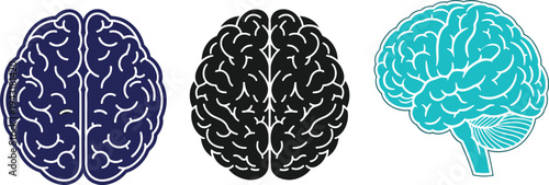 Human brain anatomy illustration set with front and side view brain icons, neuroscience medical concept vector collection isolated on white background