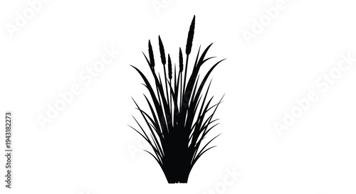 Tall cattails and grasses create a striking dark silhouette