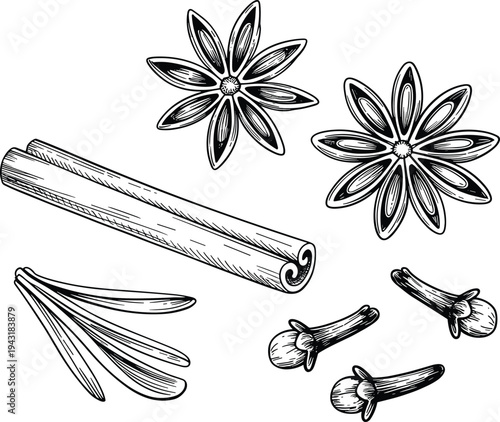 Hand drawn spice set with star anise cinnamon stick cloves and aromatic leaves vintage engraving style vector illustration isolated collection