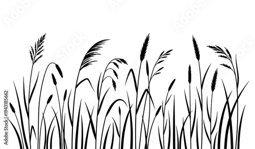 Minimal tall wild grass silhouette vector meadow plant illustration