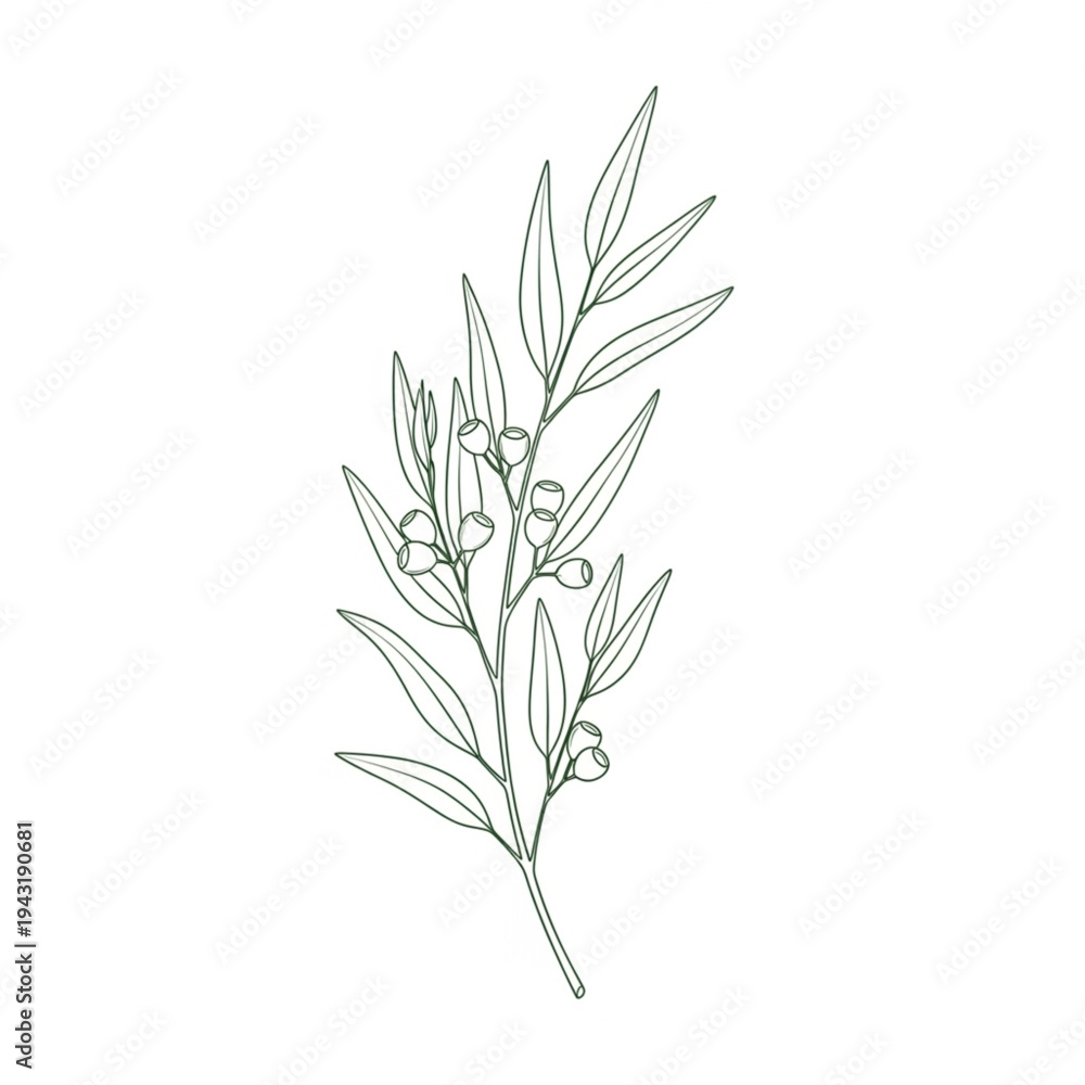 Obraz premium Black and White Illustration of Plant.