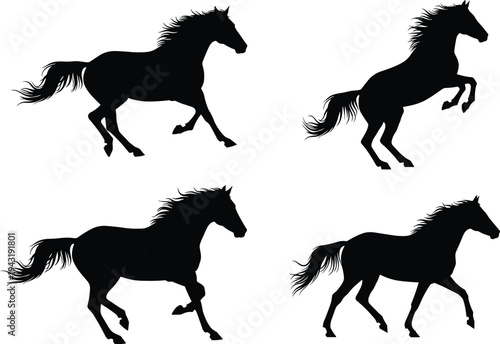 Set of running horse silhouettes in different poses representing wild stallion motion, strength, freedom and equestrian animal illustration
