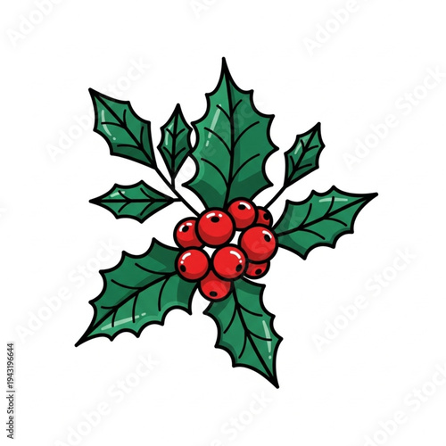 Holly Leaves and Red Berries Illustration.