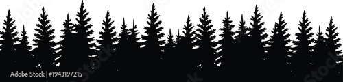 Silhouette forest landscape, pine trees, fir trees, coniferous woodland, dense forest skyline, nature background, wilderness scene, outdoor environment, natural beauty