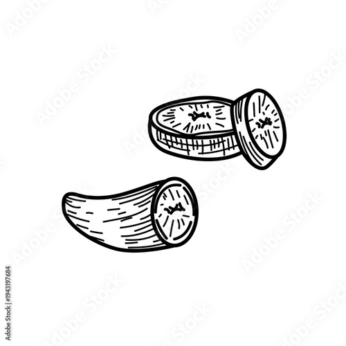 Hand Drawn Sketch of Sliced Banana