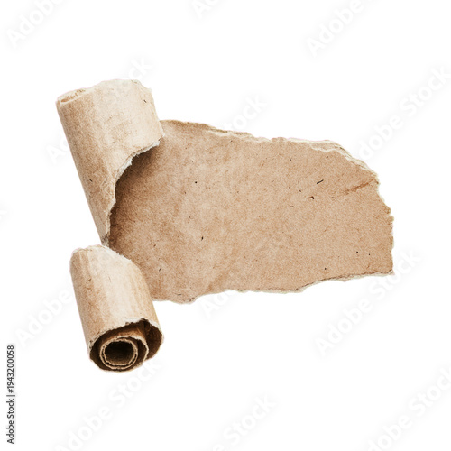 Realistic torn piece of brown cardboard with rolled edges isolated on white background