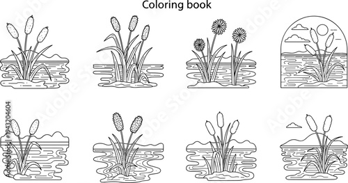 Collection of line art illustrations of cattails growing in water for a coloring book