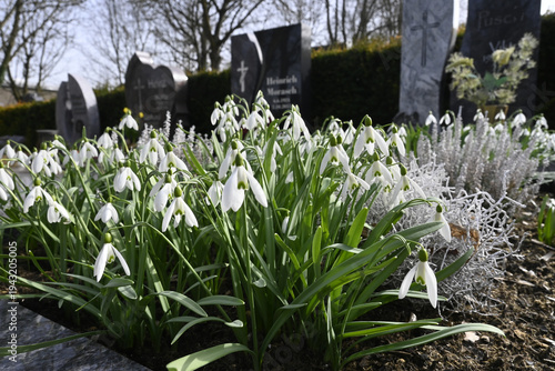 Wallpaper Mural friedhof, grabdekoration Torontodigital.ca