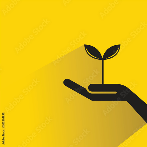 hand holding seed and plant icon with shadow on yellow background