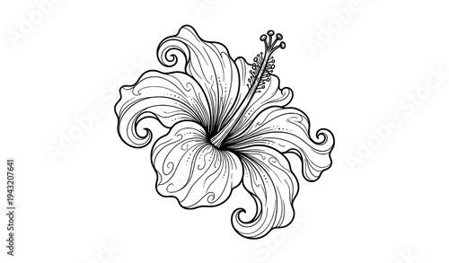 Tropical hibiscus flower outline line art vector floral design for cards