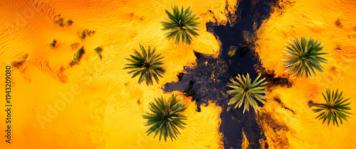 Wallpaper Mural A top view of an oil spill spilled over a desert oasis, an Earth Day banner and the importance of caring for the environment and land restoration, with copy space for text Torontodigital.ca