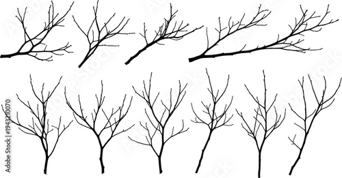 Vector set of black bare tree branch silhouettes and leafless winter twigs isolated on white background for nature design spooky atmosphere and seasonal decorations.