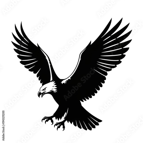 Black and White Eagle in Flight.