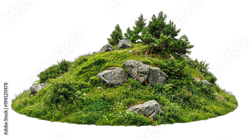 Green hill with pine trees and large boulders, natural outdoor landscape element