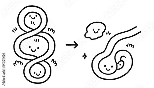 Infant development vector illustration of a baby growing and evolving
