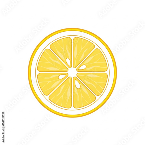 Lemon Slice Illustration Detailed Yellow Fruit.