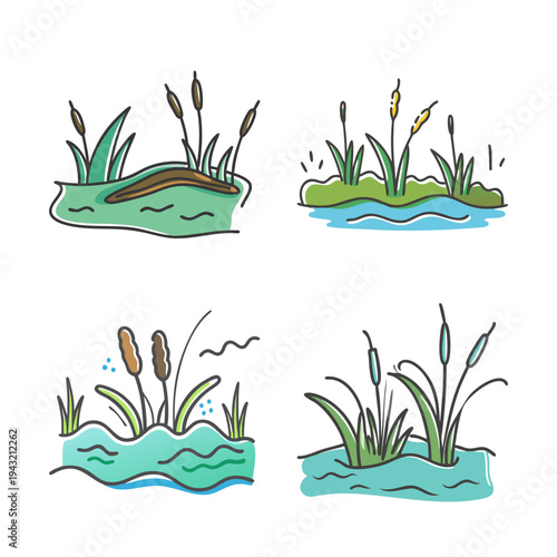 Hand-drawn cattail swamp icons, 4 marsh plant illustrations, pond reed and water grass SVG set
