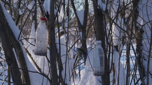 Wallpaper Mural Homemade bird feeders made from plastic bottles hang among tree branches in a snowy winter forest. Simple feeding stations stand in cold daylight surrounded by bare woodland. High quality 4k footage Torontodigital.ca