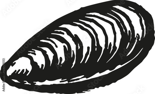 Hand drawn illustration of a single mussel shell in black and white sketch style