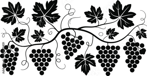 Black and white of grapevine with leaves and clusters of grapes