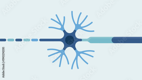 An educational illustration details a neuron structure with branching dendrites and an axon showing varying myelination