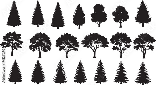 Black silhouette collection of various tree shapes including pine fir spruce oak broadleaf rounded canopy conifers, forest woodland elements, vector illustration for landscape nature design