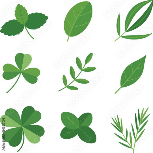 Botanical Green Leaves Collection Natural Foliage Plant Elements Vector Set