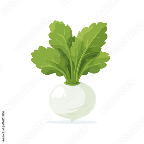 Simple flat 2D vector graphic of Turnip, modern icon look, displayed on a pure white background.