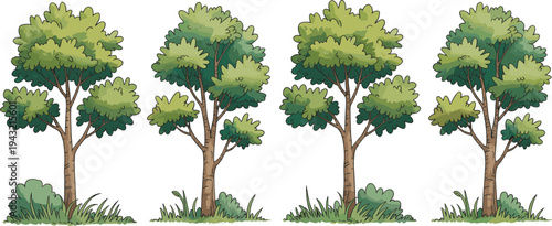 Four Green Leafy Trees with Bushes on Grass in a Row