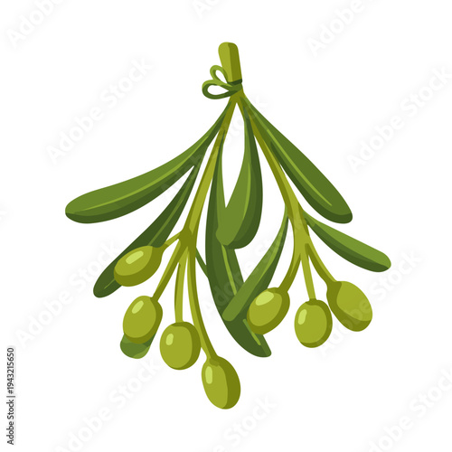 Simple flat 2D vector graphic of Mistletoe, modern icon look, displayed on a pure white background.