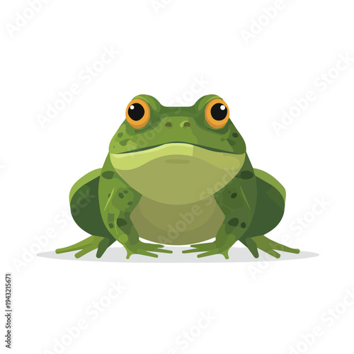 Tableau sur toile Bullfrog illustrated in a clean 2D flat vector style, minimal and modern, isolated on a white background