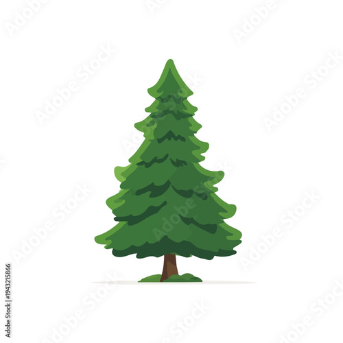 Cedar Tree, modern 2D flat vector illustration in icon style, isolated on pure white background.