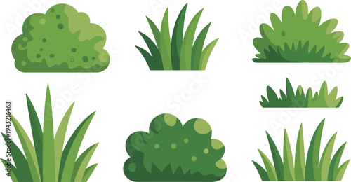 Various Green Plant Including Bushes and Grass Clumps plants