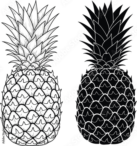 Pineapple fruit set with detailed hand drawn engraving and black silhouette isolated on white background cad drawing flat vector illustration
