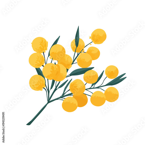 Flat 2D vector illustration of Acacia Flower, simple icon style on a clean white background.