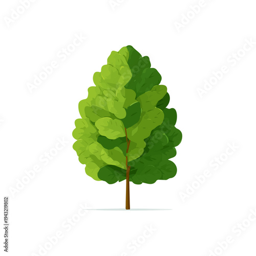 Beech Tree, modern 2D flat vector illustration in icon style, isolated on pure white background.