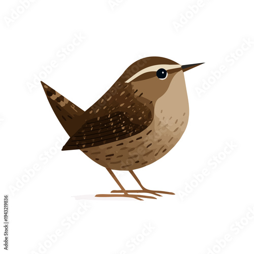 Wren, modern 2D flat vector illustration in icon style, isolated on pure white background.