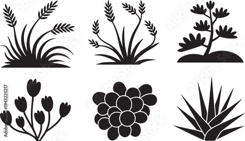 Summer plants silhouettes isolated on transparent background