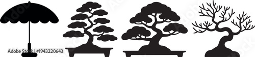 Summer bonsai trees silhouette isolated on transparent background