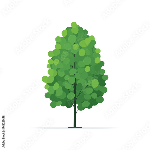 Alder Tree, modern 2D flat vector illustration in icon style, isolated on pure white background.
