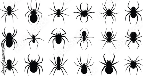 Black spider silhouettes in various poses on a white background arachnid